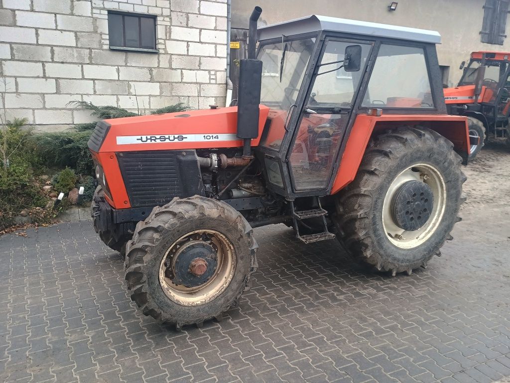 Ursus 1014 zarejestrowany