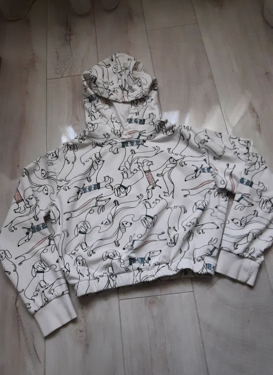 Bluza z kapturem dziewczęca r. 146/152