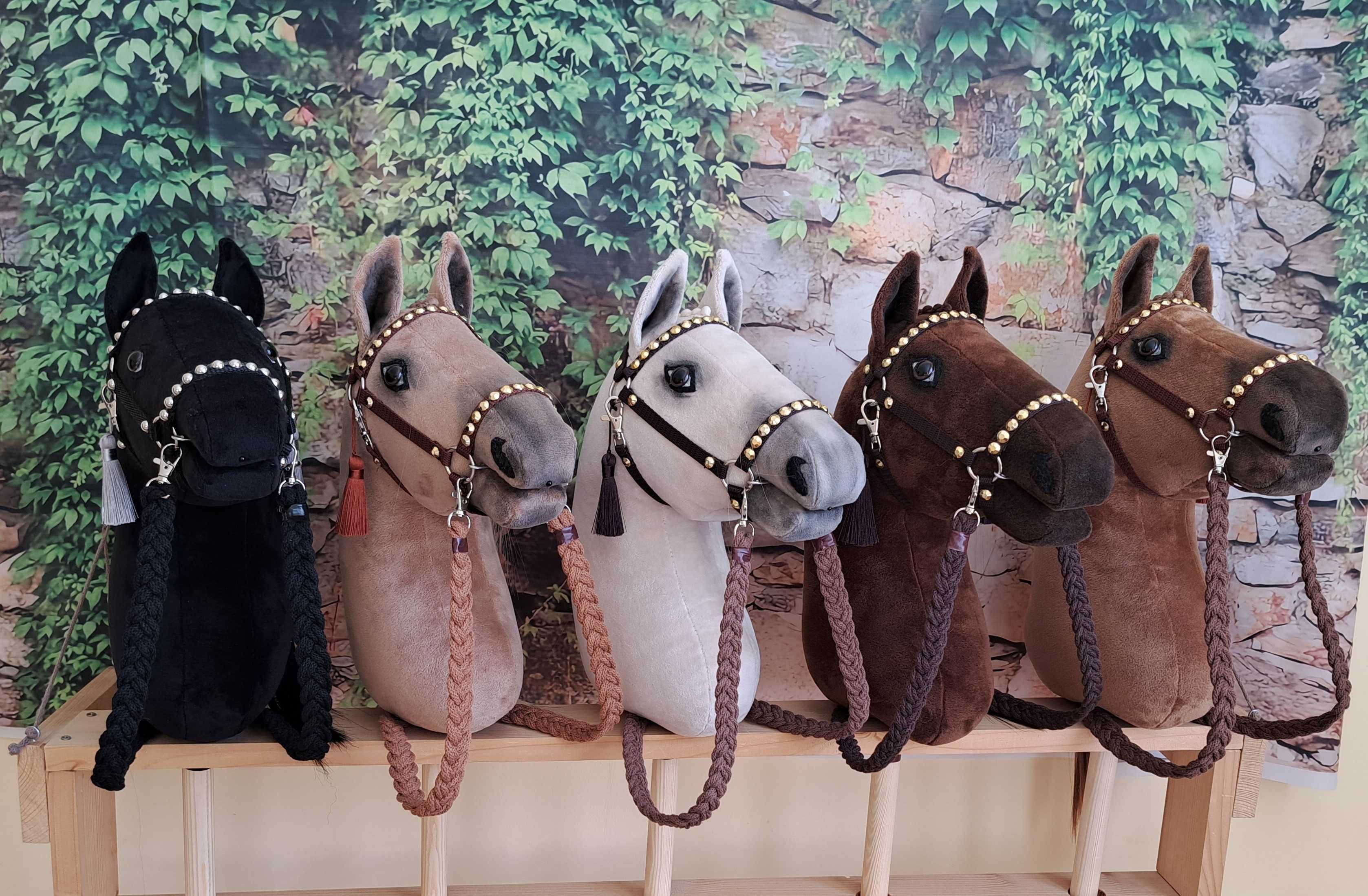 Hobby Horse A3 cremello -  zestaw