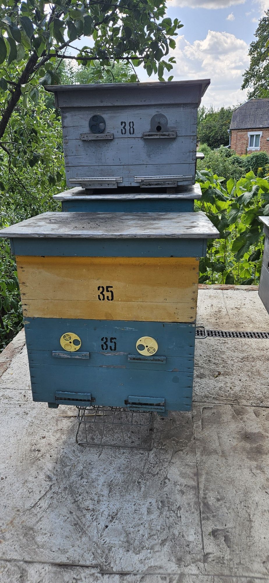Продам вулики для  бджол