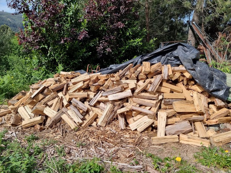 Lenha seca eucalipto