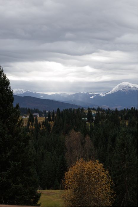 Здається котедж, оренда житла Буковель Яблуниця