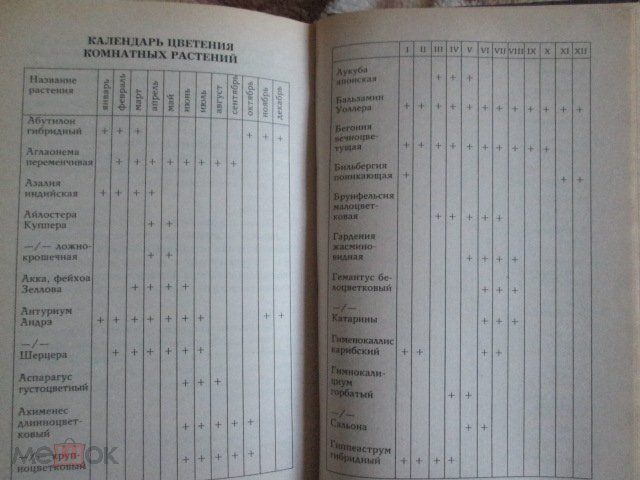 Комнатное цветоводство М.Александрова, серия: Золотая коллекция