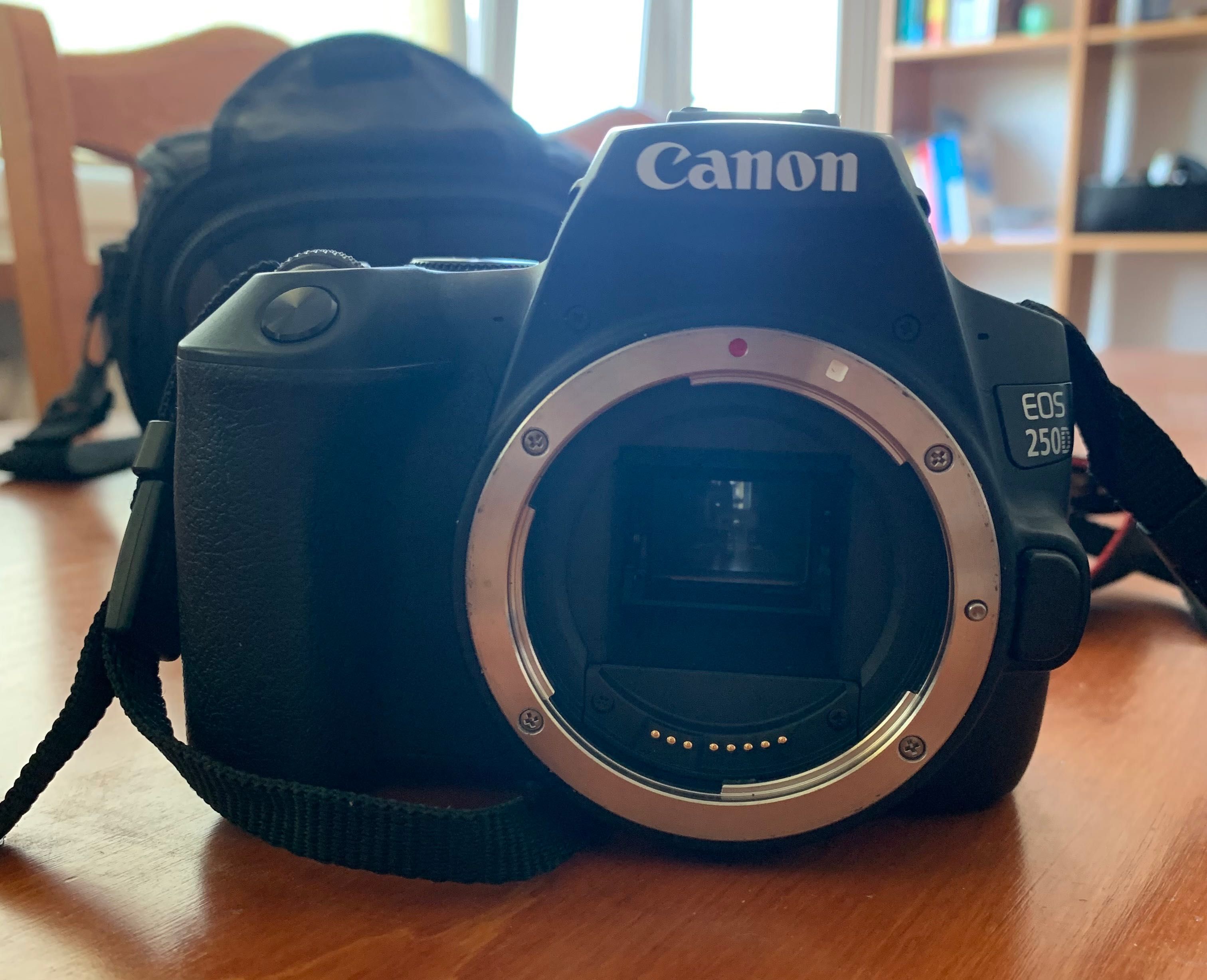 Aparat Canon EOS 250D