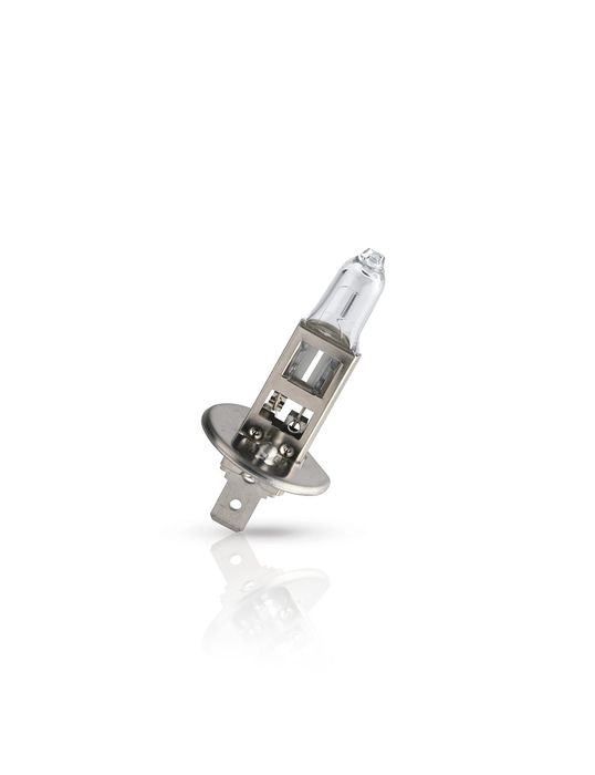 Lâmpada Philips H1 LongLife Ecovision
