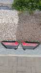 Tampas laterais Honda CB 125 T