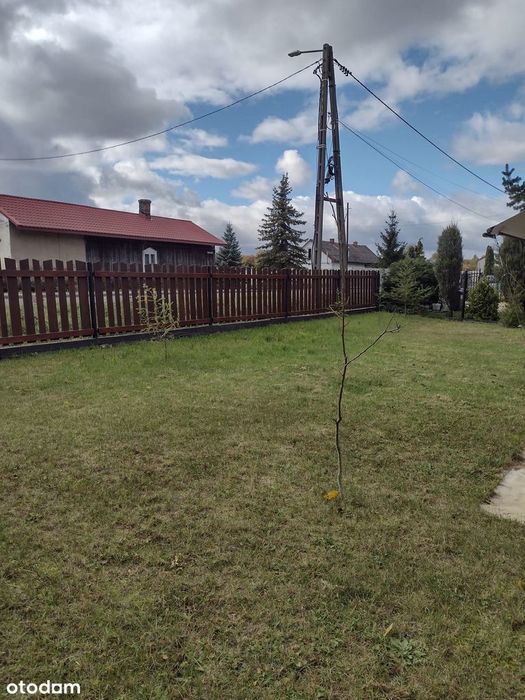 Rokitno Szlacheckie - sprzedam działkę