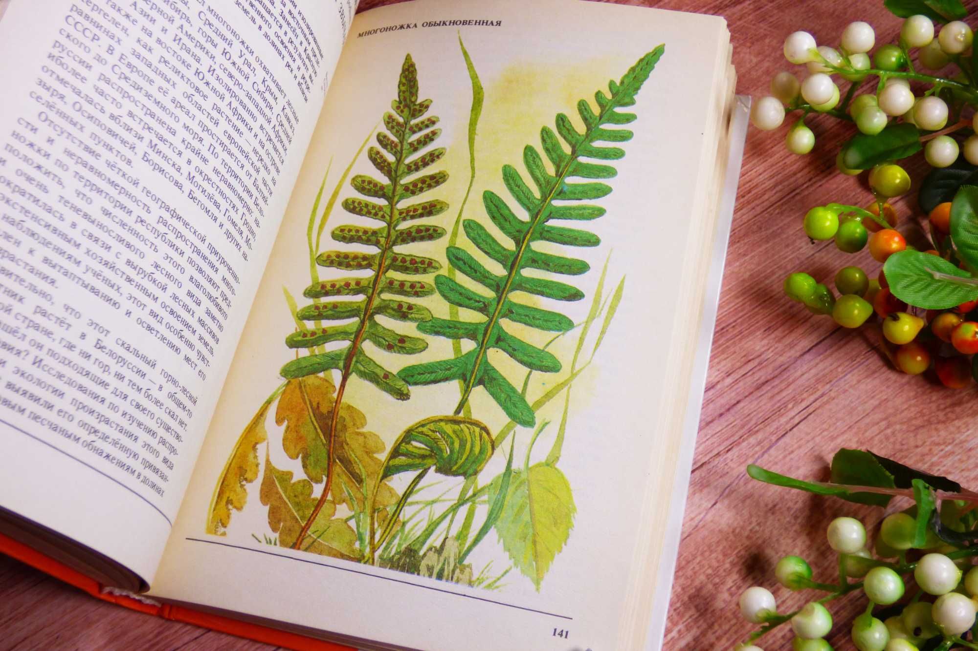 По страницам красной книги Растения