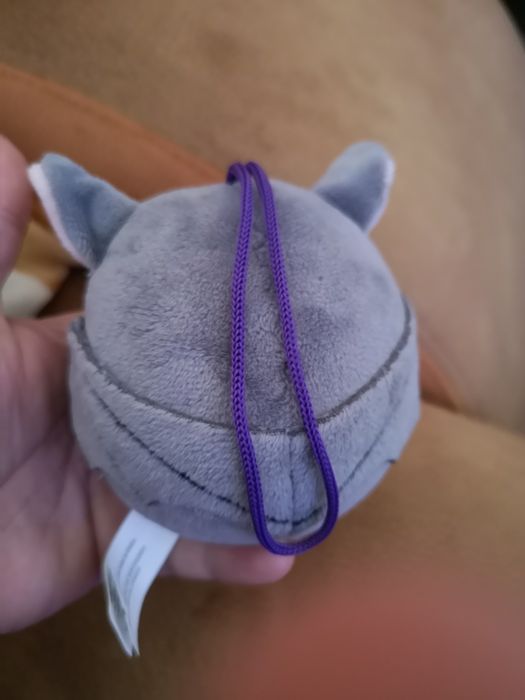 Bando do Bosque, morcego