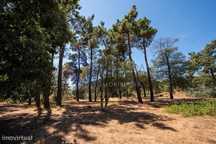 Terreno com um total de 1.379 m2 destinado a construção urbana.