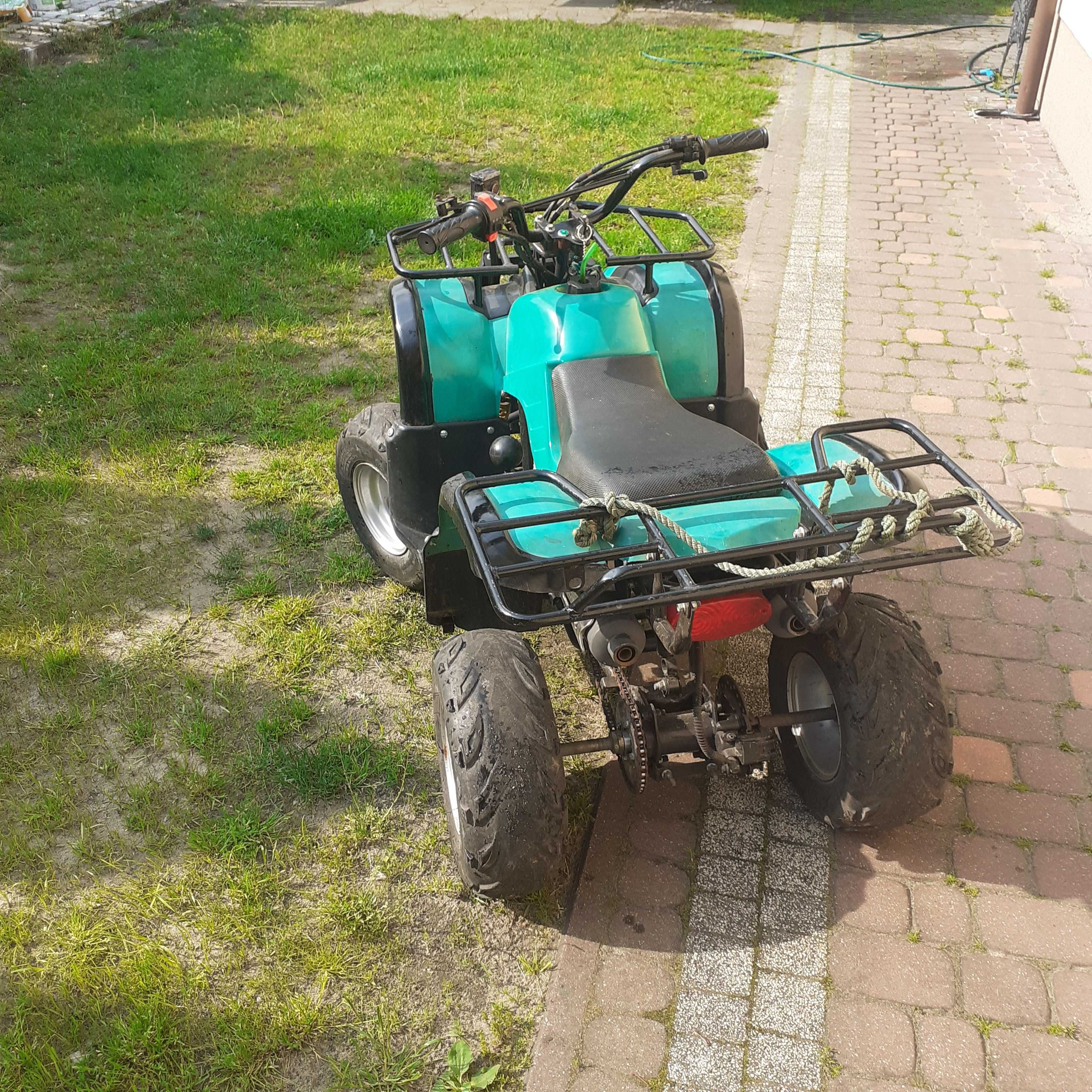 quada chińskiego sprzedam