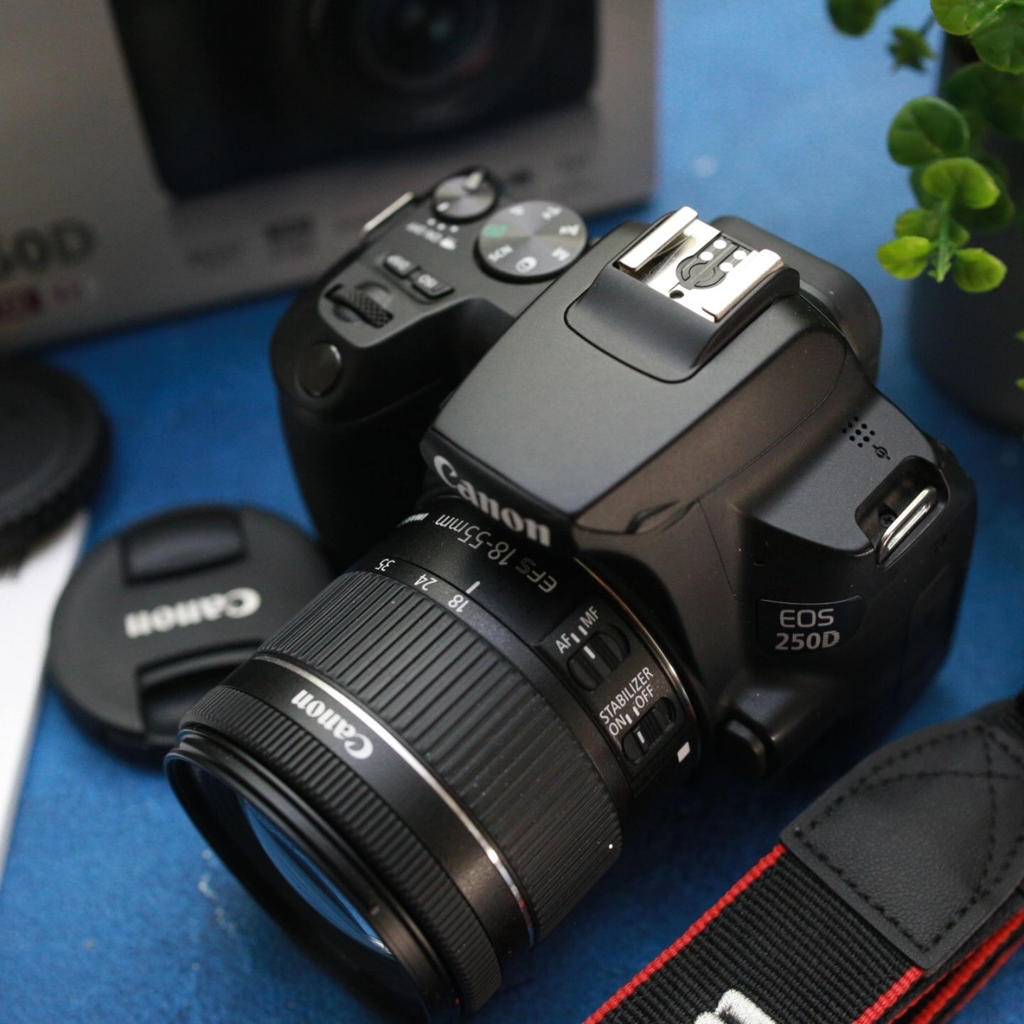 Новенька Canon 250d 18-55stm wifi dual pixel