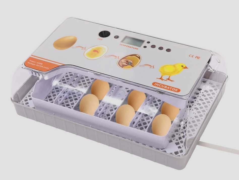 [NOVO] Incubadora / Chocadeira • 20 Ovos • Humidade Automática