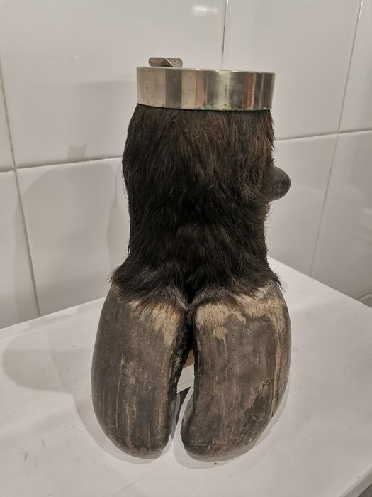 Cinzeiro pata de búfalo