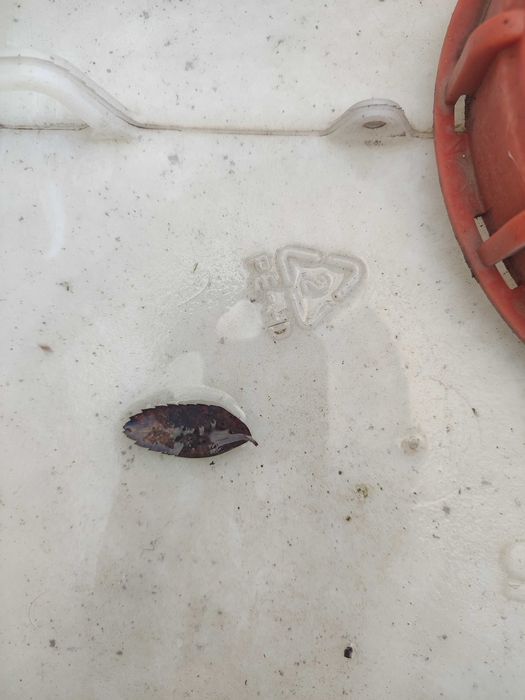 Zbiornik z tworzywa mauser