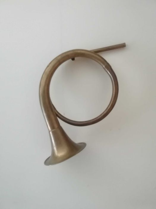 Poroże jelenia plus