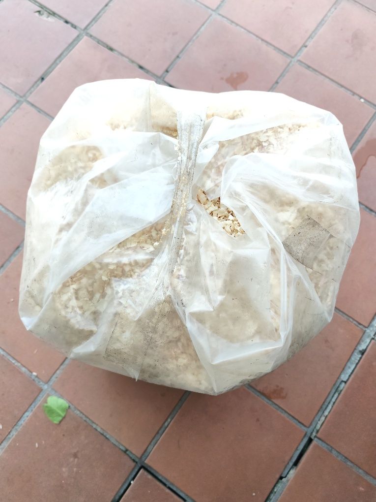 Saco de Serrim - Aparas de Madeira (15 Kg)