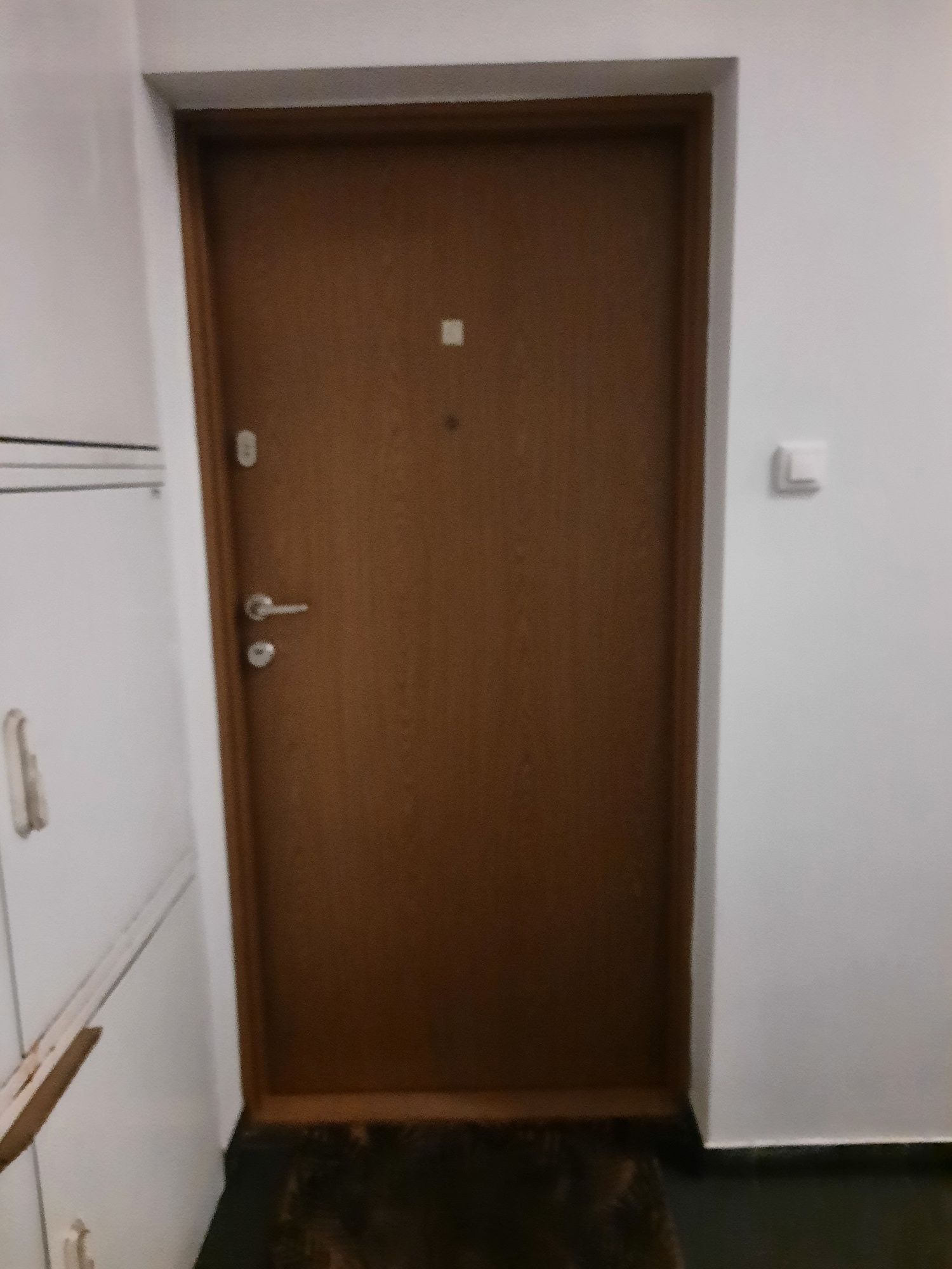 Dzwi wejściowe brązowe