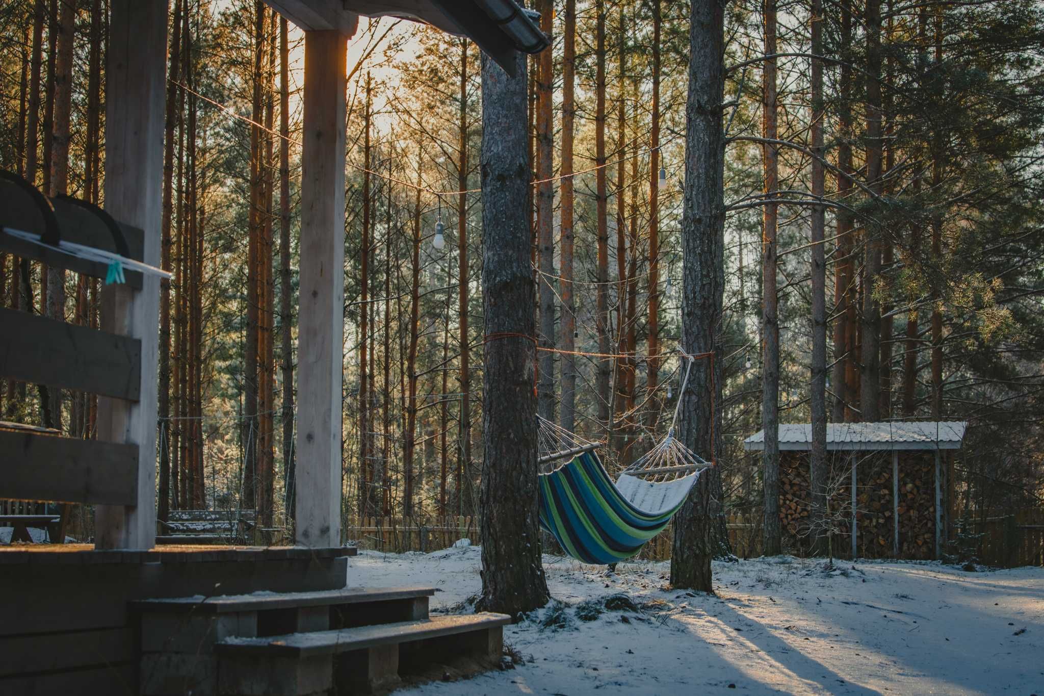 domek w lesie, jezioro Zelwa, Podlasie.