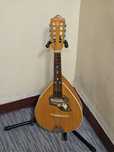 Gitara, Mandolina,Ukulele,Banjo