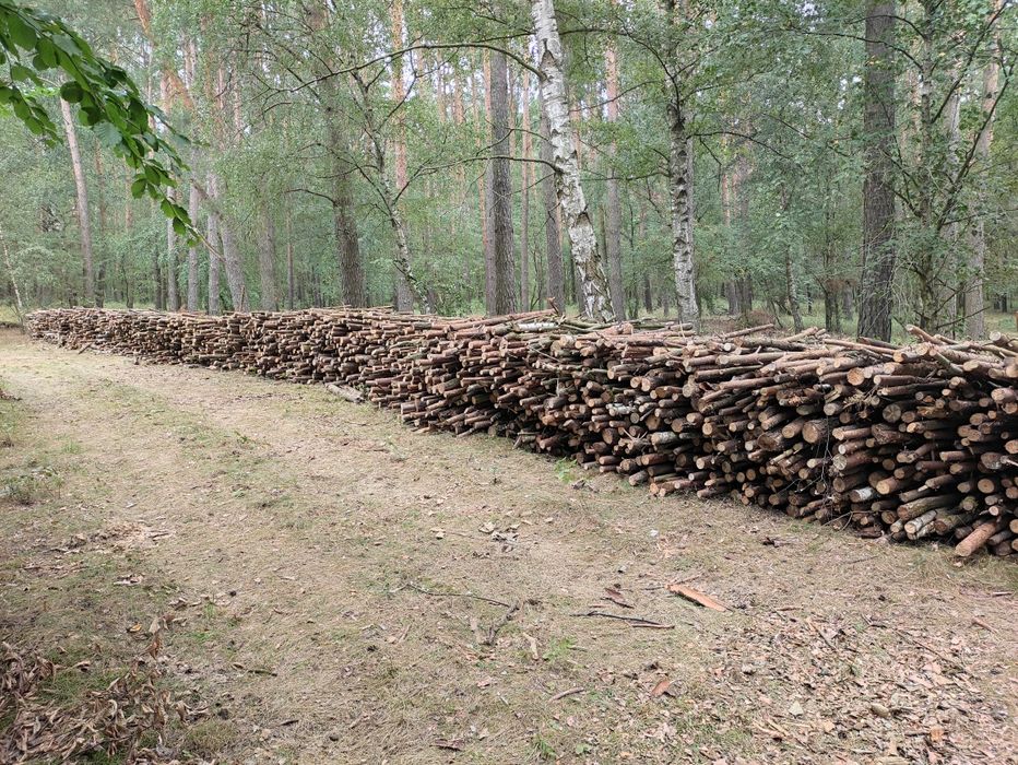 Drewno opałowe liściaste dąb/buk/brzoza