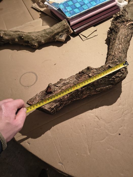 Patyki gryzaki 25 kg dla psa