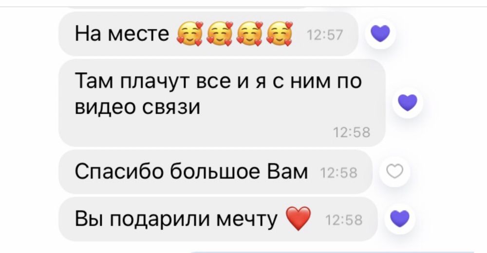 Пуделі той чорні та рижі