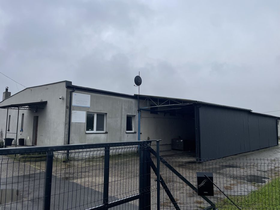 Do wynajęcia budynek inwentarski 1350 m2 - chlewnia /magazyn/ hala