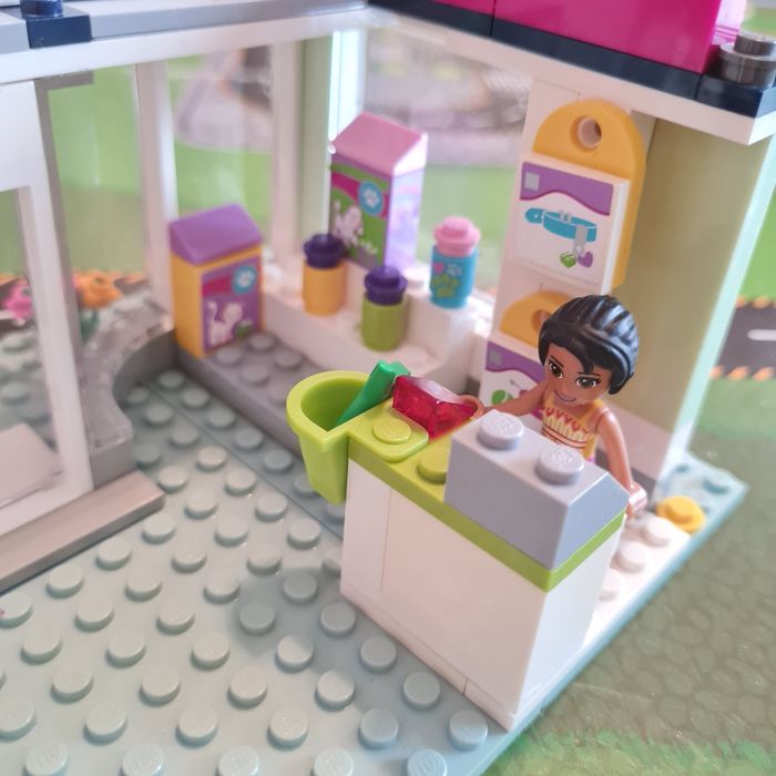 LEGO Friends 41007 - Salon dla zwierząt w Heartlake
