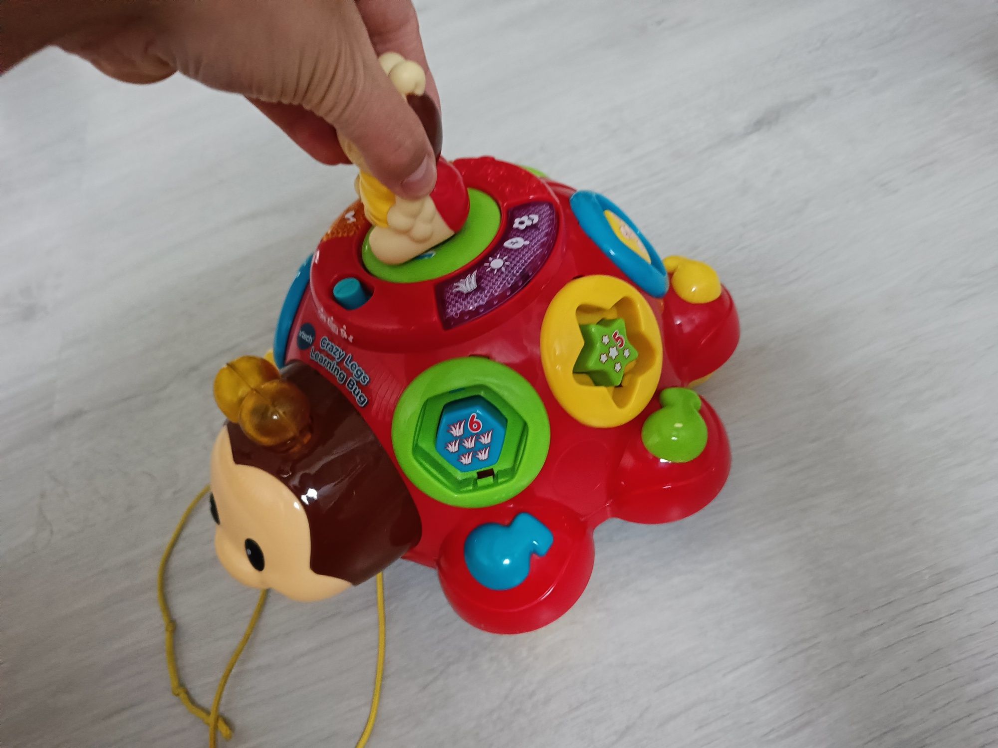 Crazy Legs Learning Bug vtech