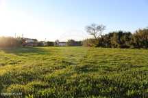 Terreno  para Venda