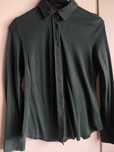 Camisa LION verde