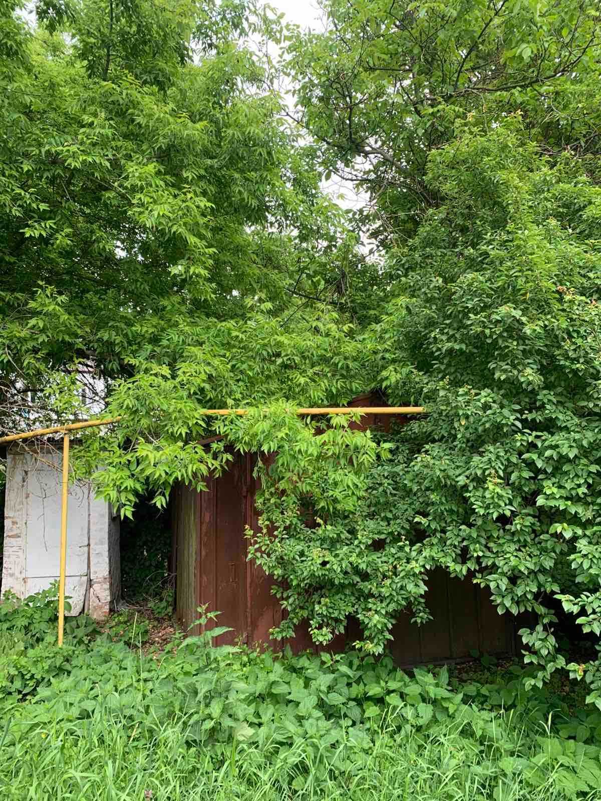 Продам будинок в центрі Богуслава