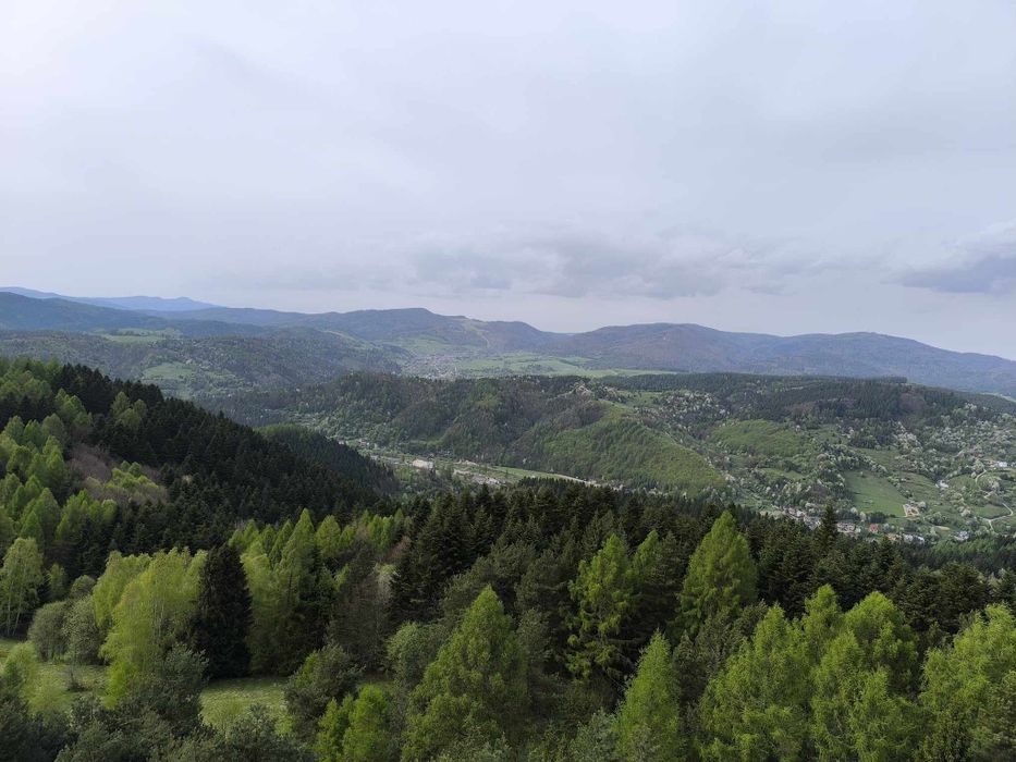 pokoje gościnne w Szczawniku, Muszyna, Szczawnik, Krynica Zdrój