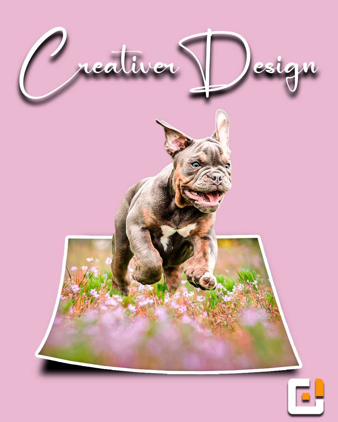 Web Designer Gráfico Freelancer / Gestão Redes Sociais / Websites