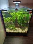 Akwarium Aquael Shrimp Set 30 z obsadą