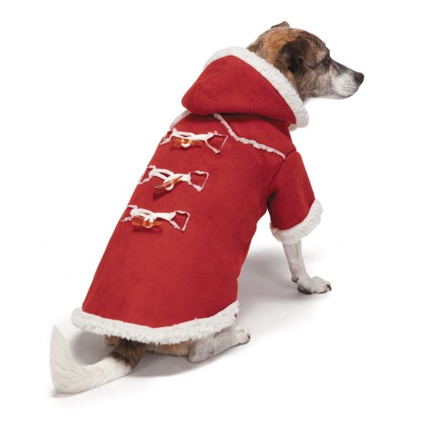 Ubranko dla psa super ciepła kurtka na misiu rozmiar L