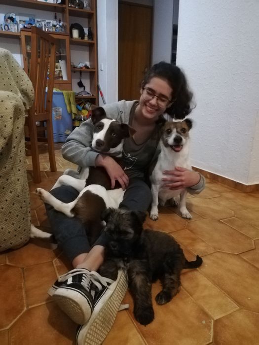 Pet-sitting 24h/7- Castelo Branco