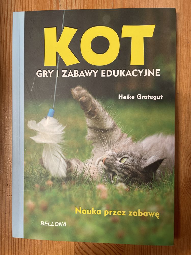 „Kot gry i zabawy edukacyjne” Heike Grotegut - książka