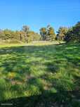 Terreno  para venda