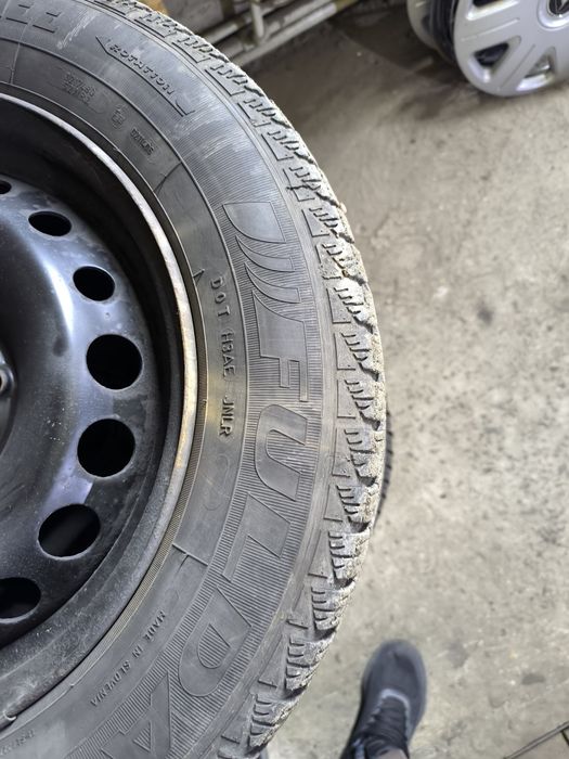 Гума зимова .фулда.