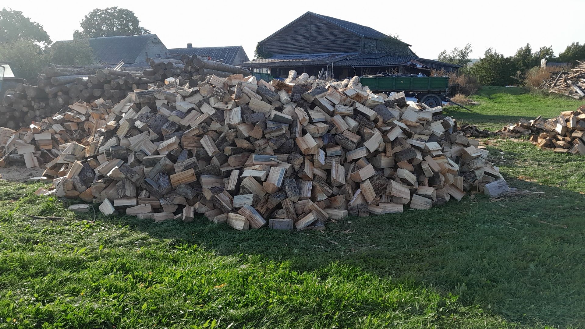 Suchy OPAŁ sosna, lipa, dąb grab