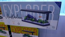 Aquario Aquatlantis Amsterdam 85L