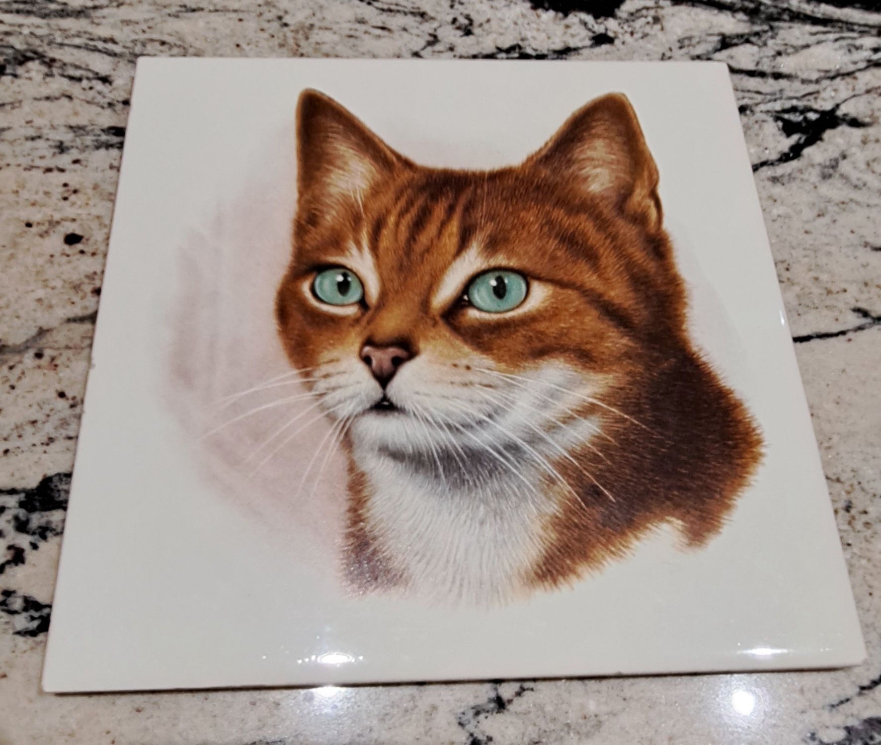 Płytka ceramiczna z wizerunkiem kota