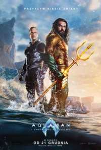 Plakat filmowy "Aquaman i Zaginione Królestwo" 68 x 98 cm