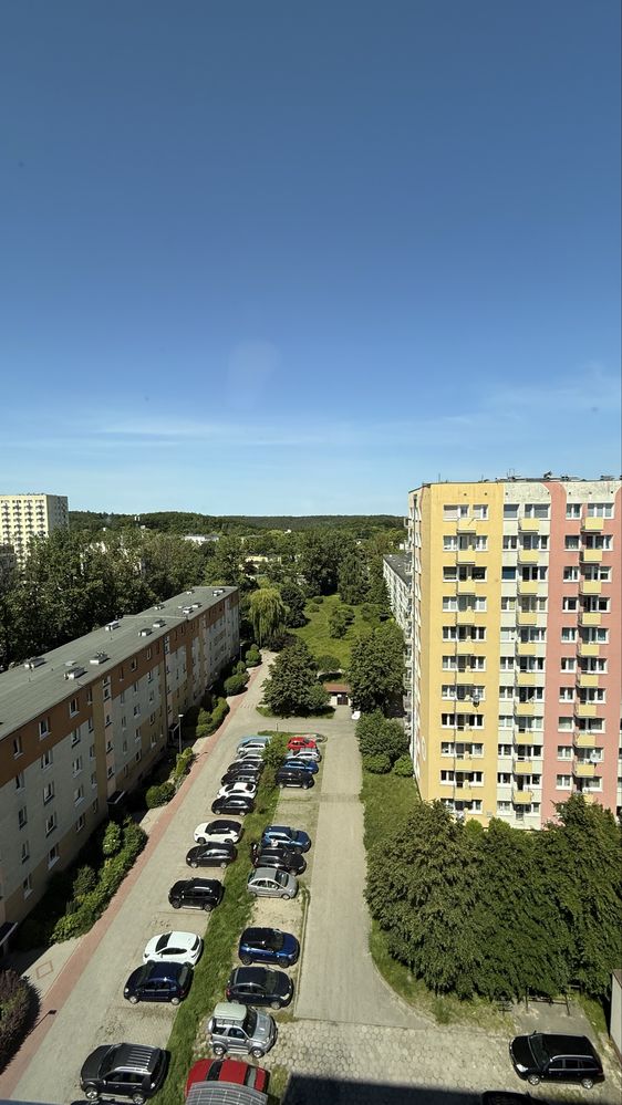 Mieszkanie kawalerka na wynajem
