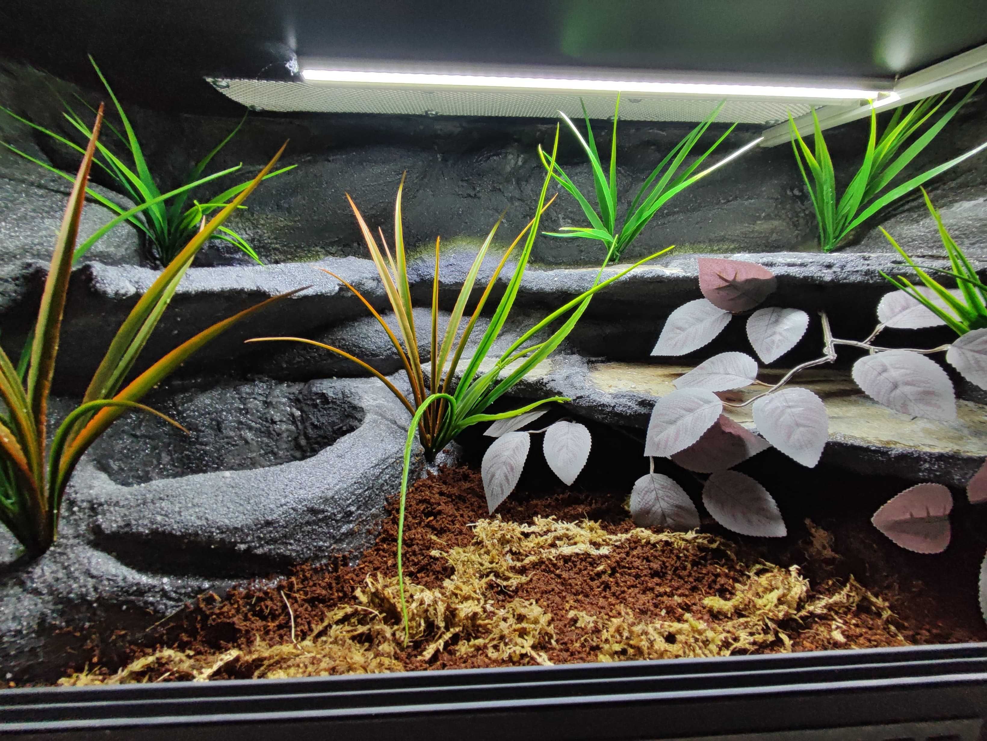 Terrarium tropikalne nr742 80/40/40 dla węża boa pyton DOSTĘPNE