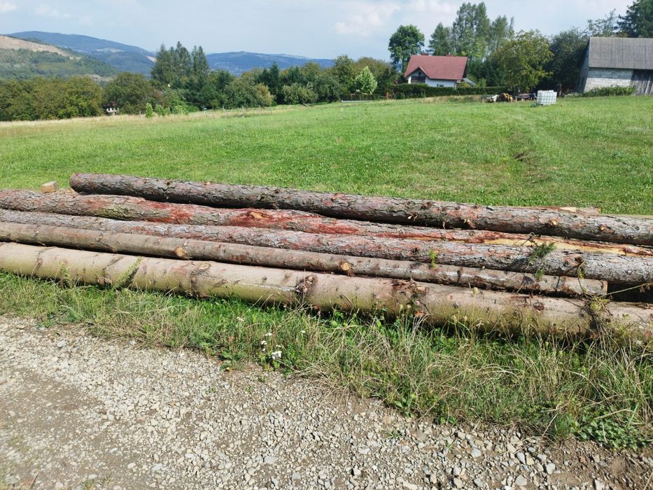 Drzewo do obróbki i na opał