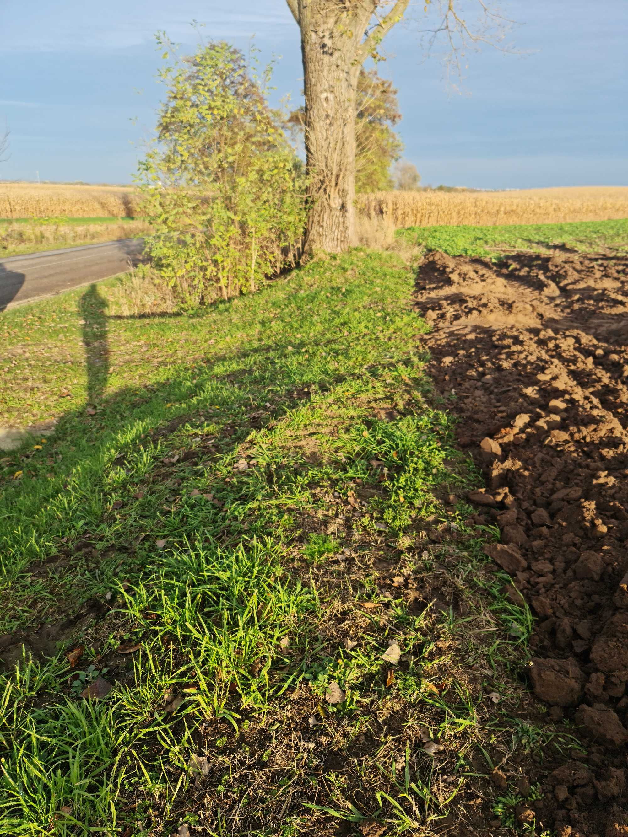 Działka rolna - 0,89 ha, Ostrów, gm. Radymno