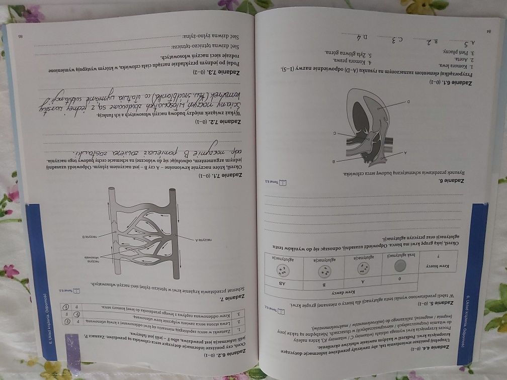 Sprzedam maturalne karty pracy 3 biologia rozszerzona